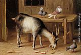 Edgar Hunt A Goat and Pigeons In a Farmyard painting